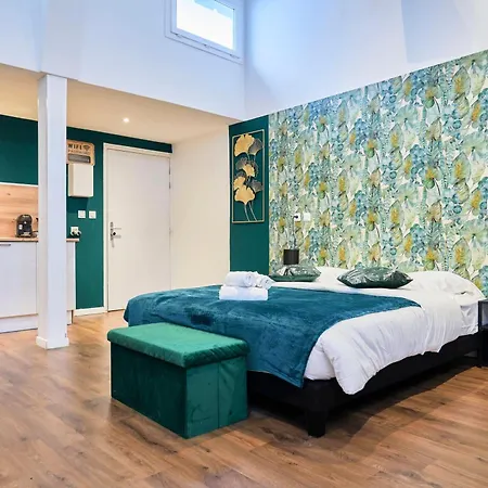 Apartamento Ng Prestige - Lille L L Mairie - Gare L Nain - Grand - Balneo - Sauna - Netflix - Wifi