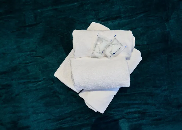 Ng Prestige - Nain I Privatif Premium I Jacuzzi - Sauna - Netflix - Projecteur Roubaix