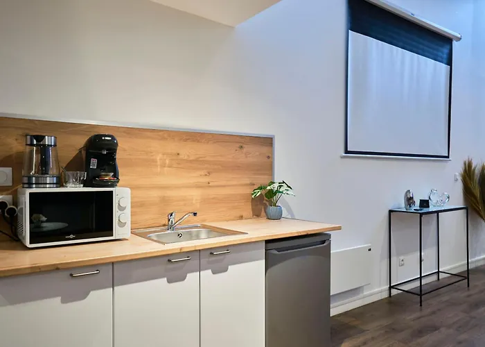 Ng Prestige - Nain I Privatif Premium I Jacuzzi - Sauna - Netflix - Projecteur Appartement Roubaix